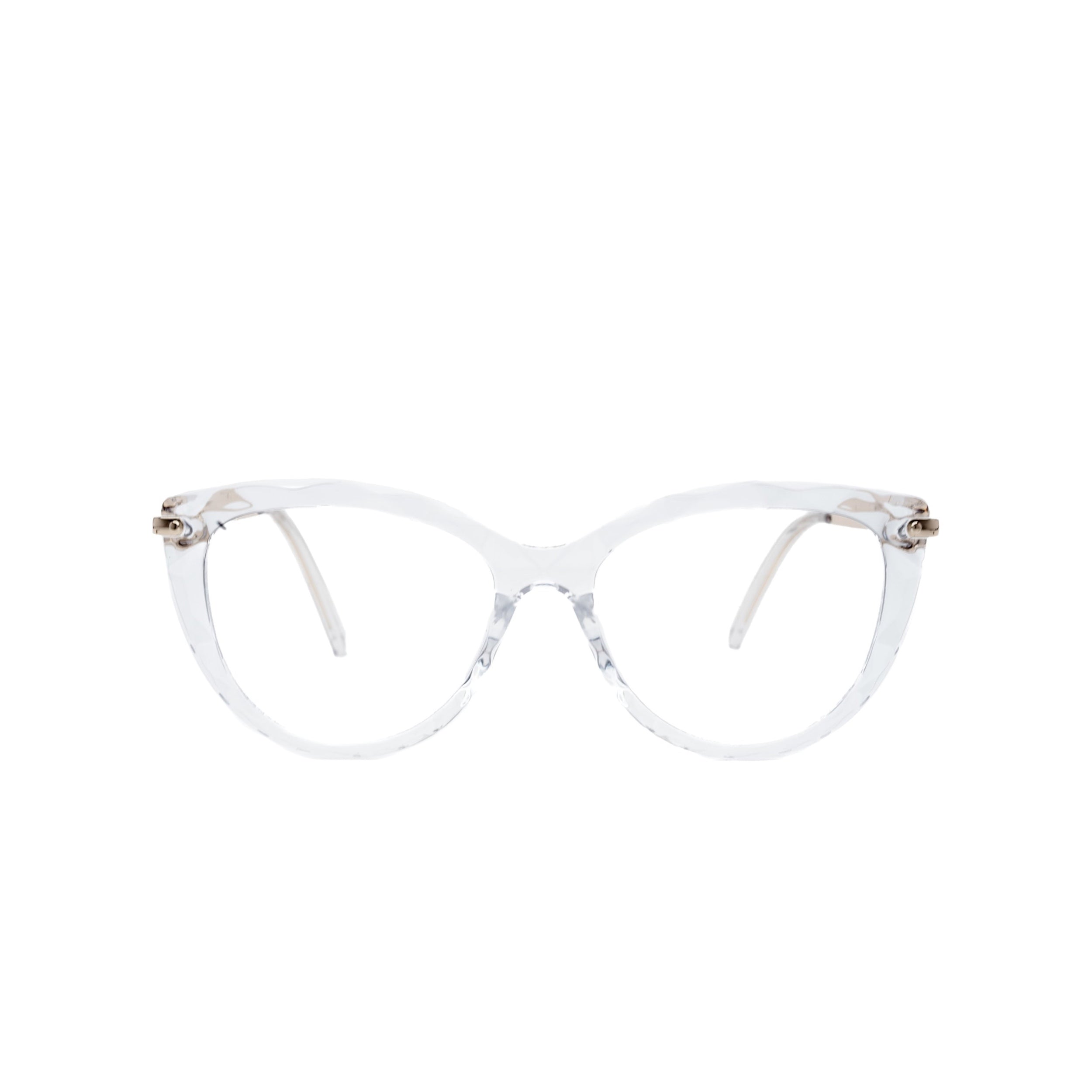 LadyBoss Magniques eyeglasses in Crystal Clear, front view #frame color_crystal clear