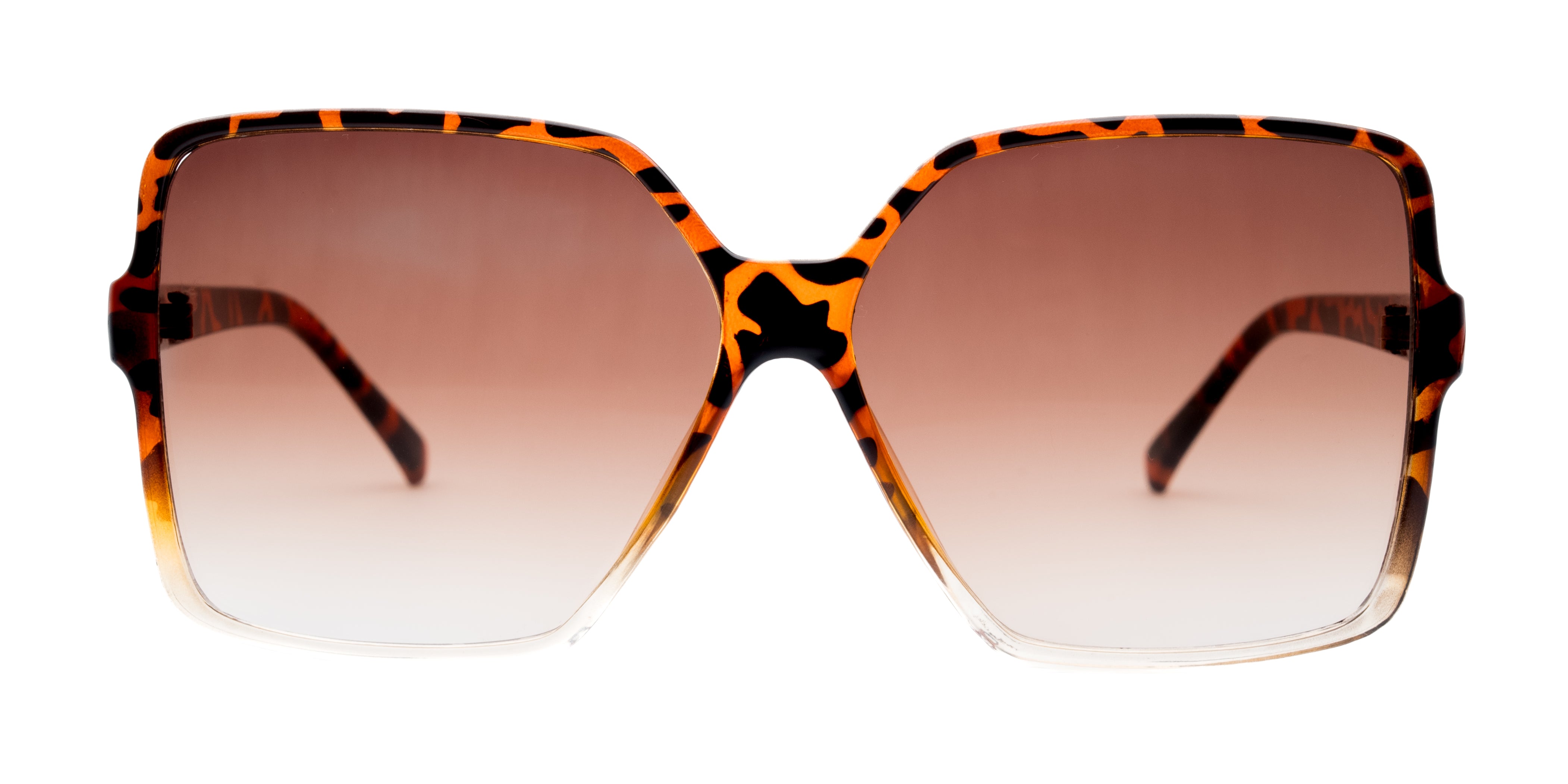 #frame color_leopard