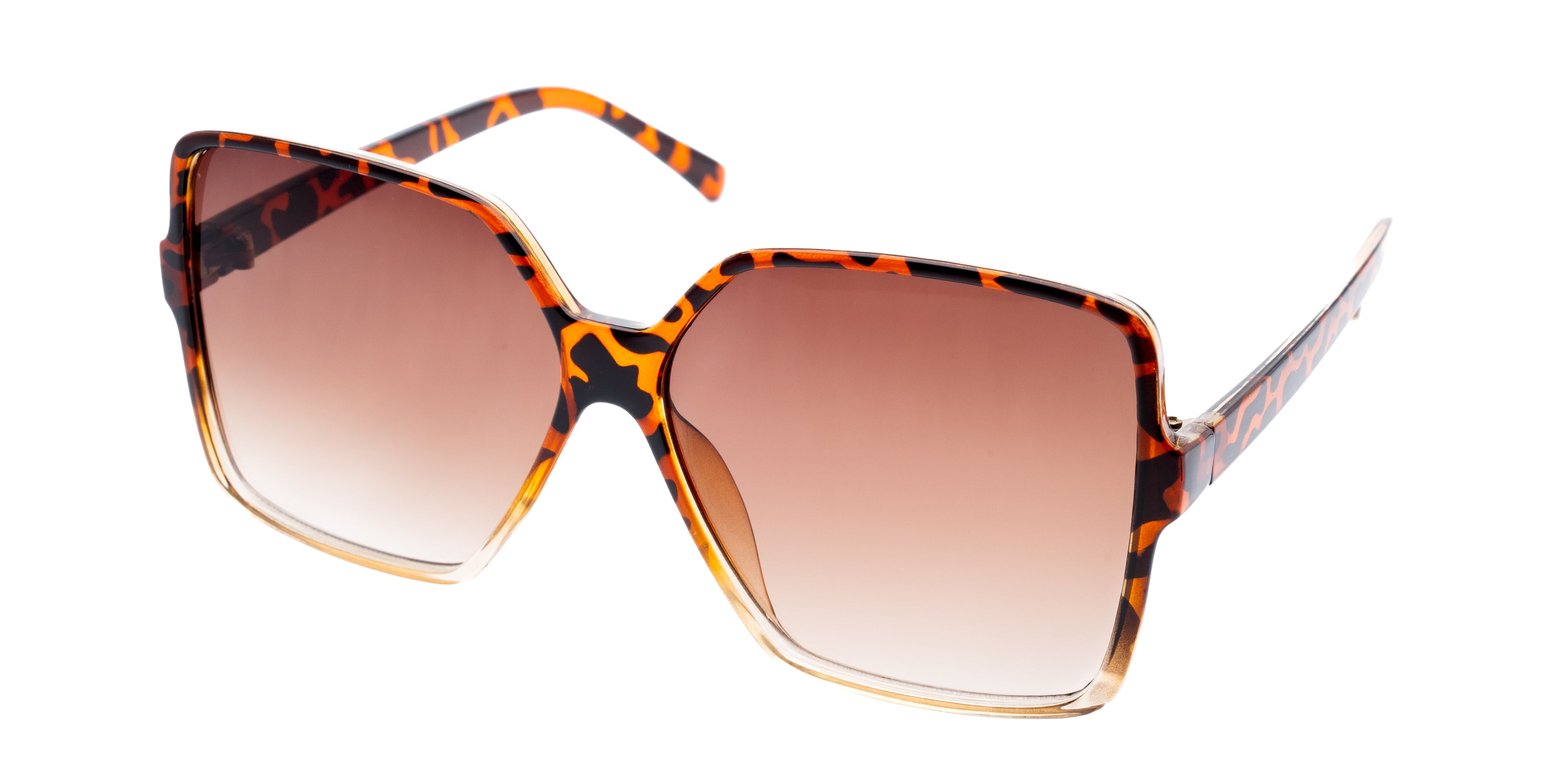 #frame color_leopard